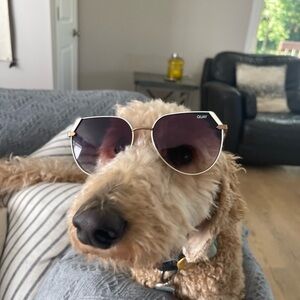 Meet your Posher, Liam